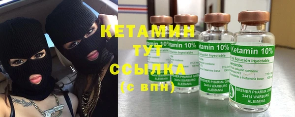 шишки Верея