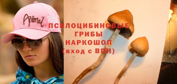 гашишное масло Володарск