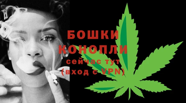 шишки Волосово