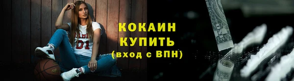 шишки Верея