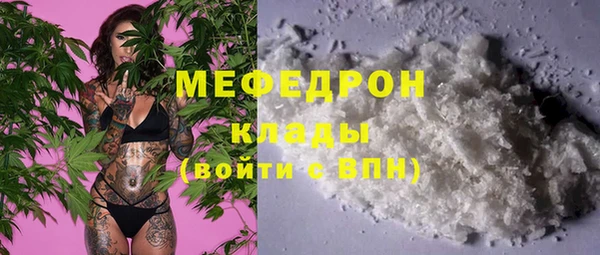 шишки Верея