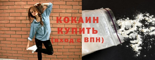 шишки Верея