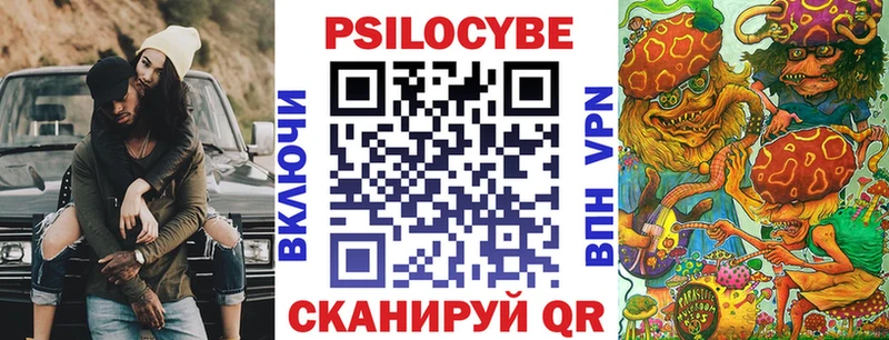Купить закладки  Ставрополь  Галлюциногенные грибы Psilocybe 