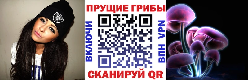 Псилоцибиновые грибы мухоморы Ставрополь